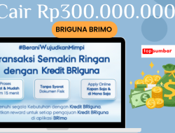 Ilustrasi Kredit BRIguna BRImo