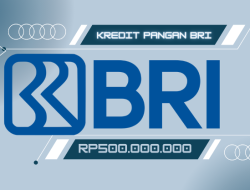 Ilustrasi Pinjaman Kredit BRI