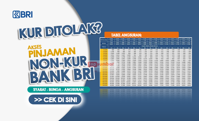 Simulasi Dan Tabel Angsuran Pinjaman Umum Bri Non Kur Plafond Rp30