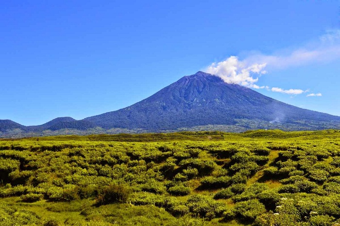 Terungkap! Pesona Tersembunyi Taman Nasional Siberut, Petualangan Epik di Surga Tersembunyi Sumatera Barat! (Foto : Dok. Istimewa)