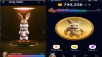 TERBONGKAR! 4 Cara Cepat Dapatkan Koin Banyak Di Rocky Rabbit Airdrop (Foto: Dok.Istimewa)