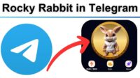 UPDATE! Berikut Cara Menghubungkan Rocky Rabbit ke Wallet Telegram yang Benar agar Withdraw Lancar Terus (Foto: Dok.Istimewa)