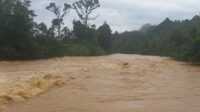 Pencari Ikan Hanyut di Sungai Batang Batahan, Tim Pencari Masih Belum Temukan Korban (Foto: Dok.Istimewa)