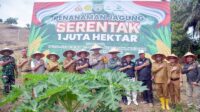 Bupati Agam Dukung Penanaman Jagung Serentak 1 Juta Hektar di Lubuk Basung