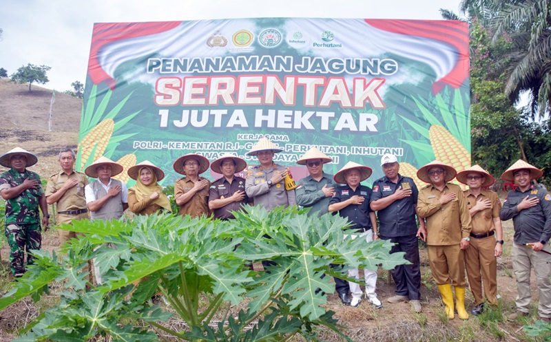 Bupati Agam Dukung Penanaman Jagung Serentak 1 Juta Hektar di Lubuk Basung