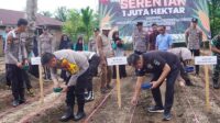 Bupati Dharmasraya Ikuti Penanaman Satu Juta Hektar Jagung Bersama Forkopimda