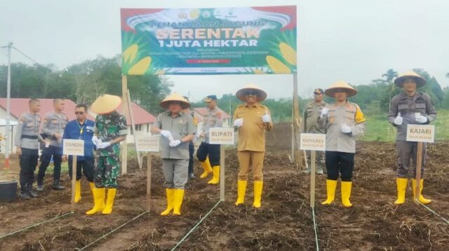 Bupati dan Kapolres Solok Selatan Tanam Jagung Dukung Asta Cita Presiden