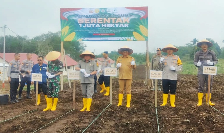 Bupati dan Kapolres Solok Selatan Tanam Jagung Dukung Asta Cita Presiden