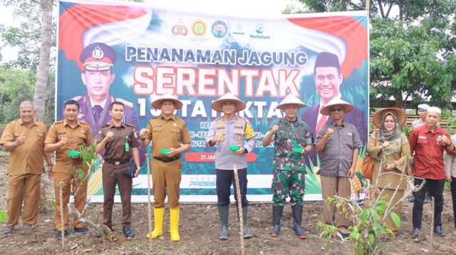 Pemkab Lima Puluh Kota Dukung Penanaman 1 Juta Hektar Jagung untuk Swasembada Pangan Nasional