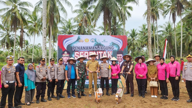 Penanaman Jagung Serentak 1 Juta Hektar di Padang Pariaman, Bukti Sinergi Pemerintah, Polri, dan TNI