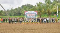 Perdana, Sawahlunto Memulai Program Penanaman Jagung Serentak Satu Juta Hektar