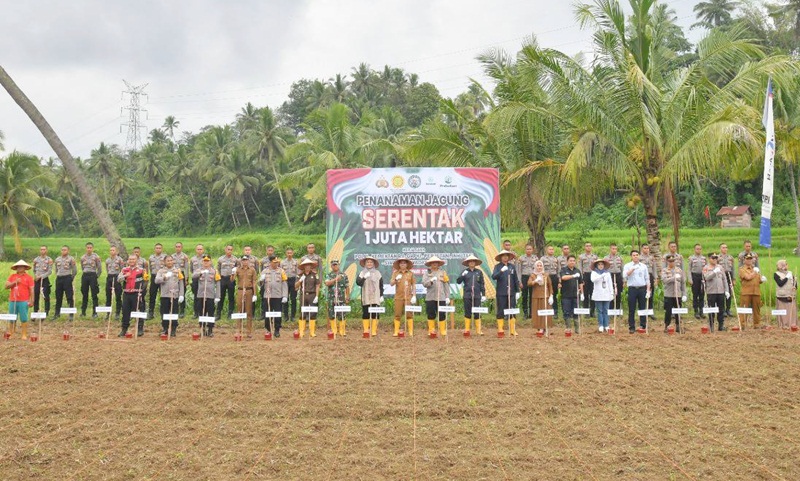 Perdana, Sawahlunto Memulai Program Penanaman Jagung Serentak Satu Juta Hektar