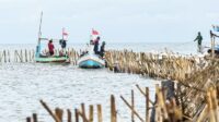 Polemik Pagar Laut di Tangerang Bakal Jadi Ujian Pemerintahan Prabowo-Gibran