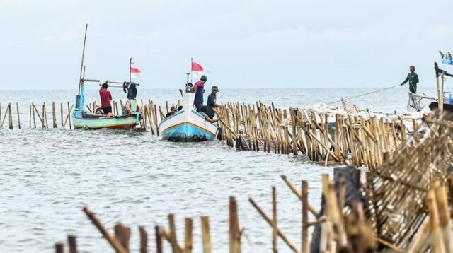 Polemik Pagar Laut di Tangerang Bakal Jadi Ujian Pemerintahan Prabowo-Gibran