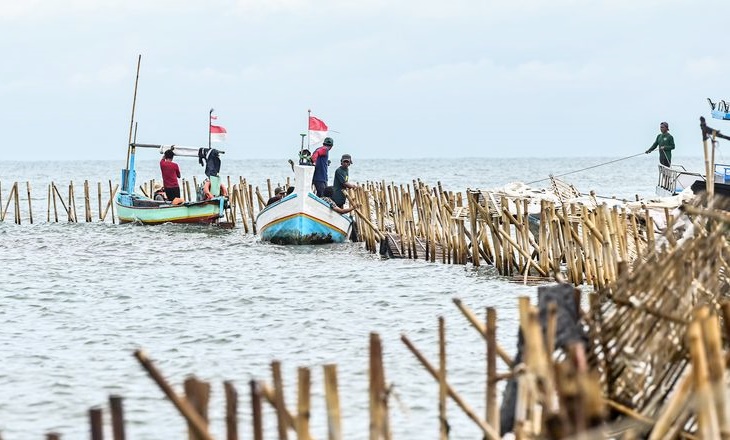 Polemik Pagar Laut di Tangerang Bakal Jadi Ujian Pemerintahan Prabowo-Gibran