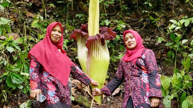 Tadabur Alam di Cagar Alam Batang Palupuh, TP-PKK Agam Kampanyekan Kesadaran Menjaga Lingkungan