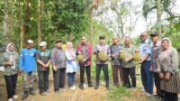 Tinjau Pengelolaan Lahan Pertanian, Kelompok Tani Puncak Polan Terima Kunjungan Pj Wali Kota Sawahlunto