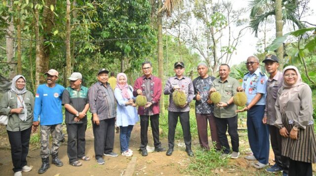 Tinjau Pengelolaan Lahan Pertanian, Kelompok Tani Puncak Polan Terima Kunjungan Pj Wali Kota Sawahlunto