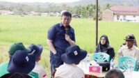 Wakil Ketua Komisi IV DPR RI Alex Indra Lukman Tinjau Metode Sawah Bapokok Murah di Pesisir Selatan