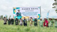 Dukung Ketahanan Pangan Danrem 032Wirabraja Ikuti Panen Raya Bawang Merah dan Peresmian FPCKL