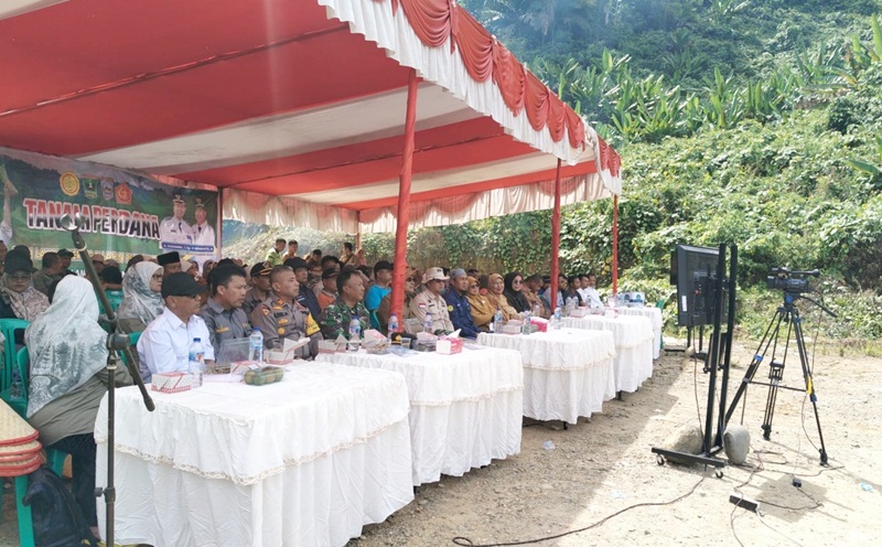 Dukung Ketahanan Pangan Nasional, Dinas Perkebunan Pasaman Barat Tanam Perdana Padi Gogo di Nagari Pematang Panjang