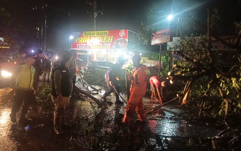 Hujan Deras dan Angin Kencang sebabkan Dua Pohon Tumbang di By Pass Kota Padang