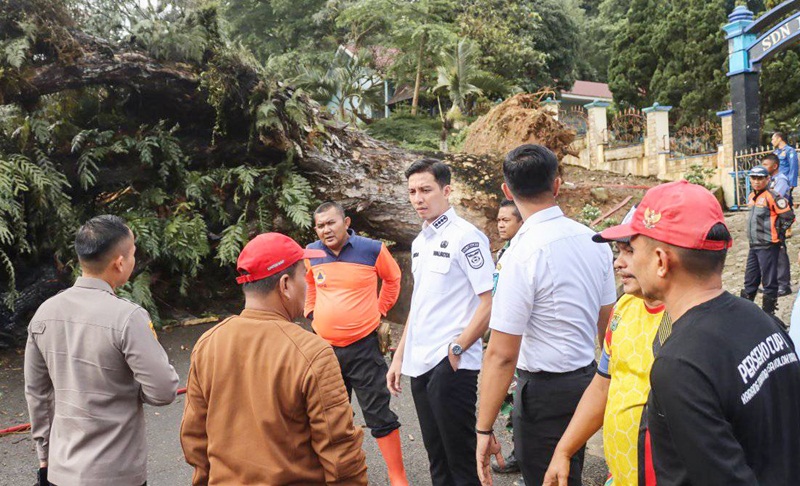 Wali Kota Sawahlunto Riyanda Putra Tinjau Lokasi Pohon Tumbang di Desa Kolok Nan Tuo